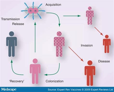 meningococcal disease mode of transmission
